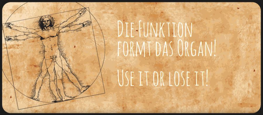 Die Funktion formt das Organ! Use it or lose it! - Henning Kanitz - Training & Therapie